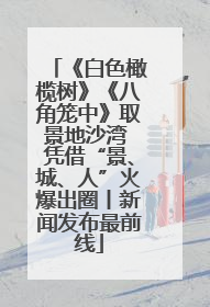 《白色橄榄树》《八角笼中》取景地沙湾 凭借“景、城、人”火爆出圈丨新闻发布最前线