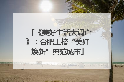 《美好生活大调查》：合肥上榜“美好焕新”典范城市