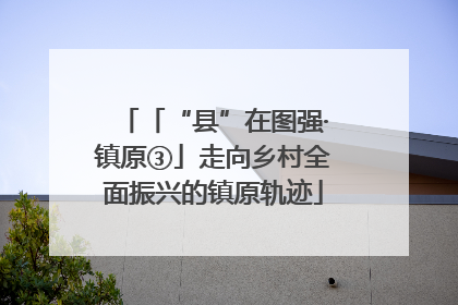 「“县”在图强·镇原③」走向乡村全面振兴的镇原轨迹