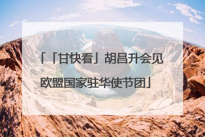 「甘快看」胡昌升会见欧盟国家驻华使节团