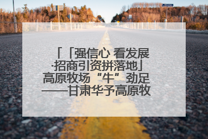 「强信心 看发展·招商引资拼落地」高原牧场“牛”劲足——甘肃华予高原牧场高标准奶牛肉牛养殖项目一线见闻