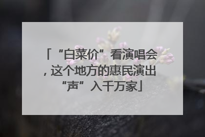 “白菜价”看演唱会，这个地方的惠民演出“声”入千万家