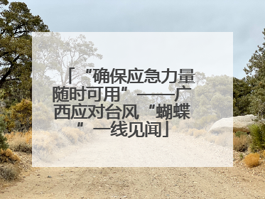 “确保应急力量随时可用”——广西应对台风“蝴蝶”一线见闻