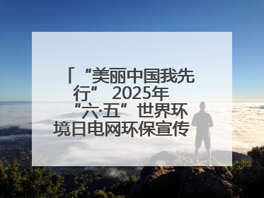 “美丽中国我先行” 2025年“六·五”世界环境日电网环保宣传系列活动——多场景联动，共筑生态发展新图景