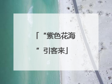 “紫色花海”引客来