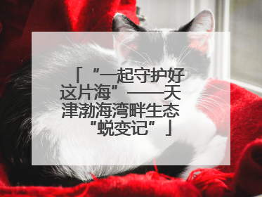 “一起守护好这片海”——天津渤海湾畔生态“蜕变记”