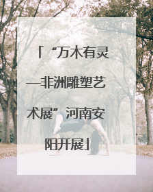 “万木有灵—非洲雕塑艺术展”河南安阳开展