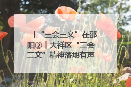 “三会三文”在邵阳②｜大祥区“三会三文”精神落地有声 以实干实绩助力区域高质量发展