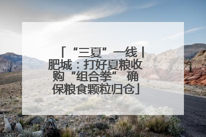 “三夏”一线丨肥城：打好夏粮收购“组合拳” 确保粮食颗粒归仓