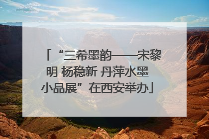 “三希墨韵——宋黎明 杨稳新 丹萍水墨小品展”在西安举办