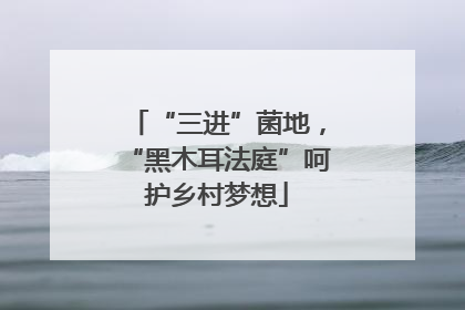 “三进”菌地，“黑木耳法庭”呵护乡村梦想