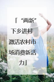 “两新”下乡进村 激活农村市场消费新活力