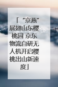 “京燕”展翅山东樱桃园 京东物流自研无人机开启樱桃出山新速度