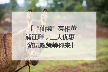 “仙境”亮相黄浦江畔，三大优惠游玩政策等你来