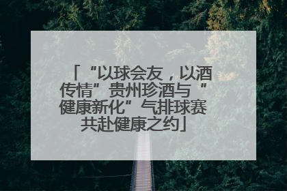 “以球会友，以酒传情”贵州珍酒与“健康新化”气排球赛共赴健康之约