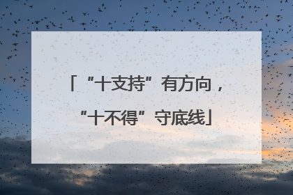 “十支持”有方向，“十不得”守底线