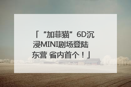 “加菲猫”6D沉浸MINI剧场登陆东营 省内首个！