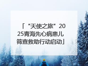 “天使之旅”2025青海先心病患儿筛查救助行动启动
