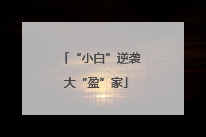 “小白”逆袭大“盈”家