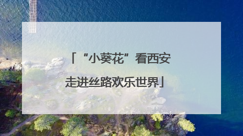 “小葵花”看西安走进丝路欢乐世界