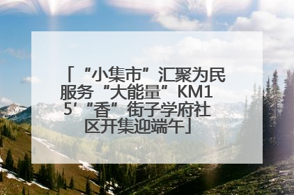 “小集市”汇聚为民服务“大能量”KM15′“香”街子学府社区开集迎端午