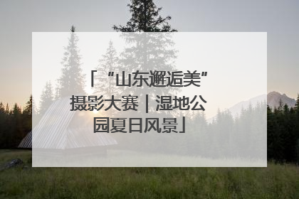 “山东邂逅美”摄影大赛｜湿地公园夏日风景
