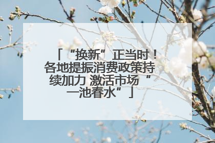 “换新”正当时！各地提振消费政策持续加力 激活市场“一池春水”
