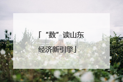 “数”读山东经济新引擎