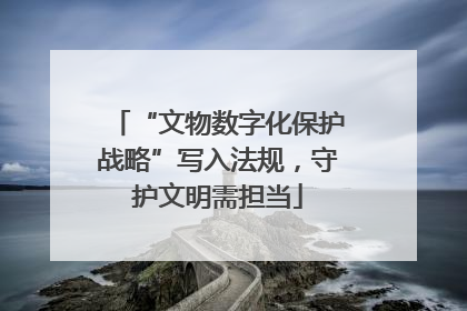 “文物数字化保护战略”写入法规，守护文明需担当
