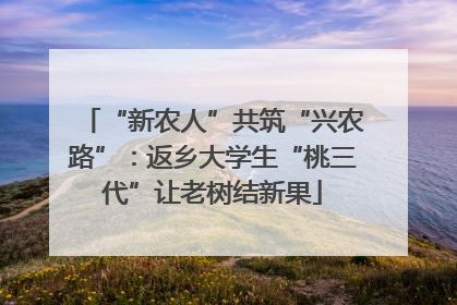 “新农人”共筑“兴农路”：返乡大学生“桃三代”让老树结新果