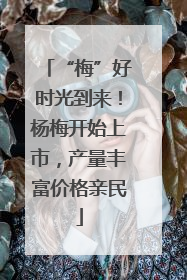 “梅”好时光到来！杨梅开始上市，产量丰富价格亲民