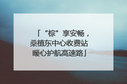 “棕”享安畅，桑植东中心收费站暖心护航高速路