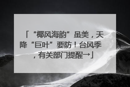“椰风海韵”虽美，天降“巨叶”要防！台风季，有关部门提醒→