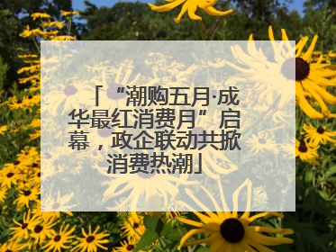 “潮购五月·成华最红消费月”启幕，政企联动共掀消费热潮