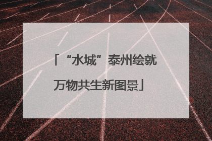 “水城”泰州绘就万物共生新图景