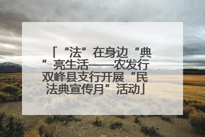 “法”在身边“典”亮生活——农发行双峰县支行开展“民法典宣传月”活动