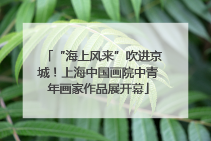 “海上风来”吹进京城！上海中国画院中青年画家作品展开幕