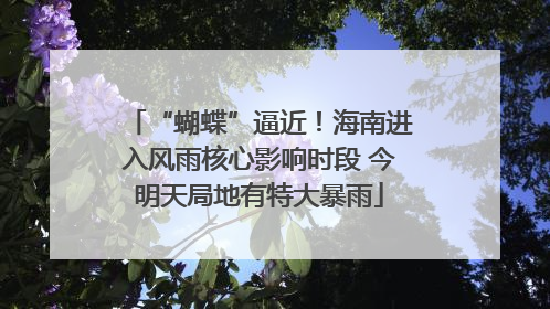 “蝴蝶”逼近！海南进入风雨核心影响时段 今明天局地有特大暴雨