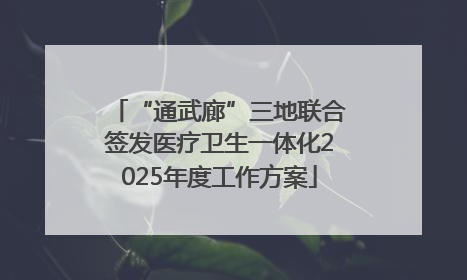 “通武廊”三地联合签发医疗卫生一体化2025年度工作方案
