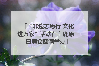 “非遗志愿行 文化进万家”活动在白鹿原·白鹿仓圆满举办