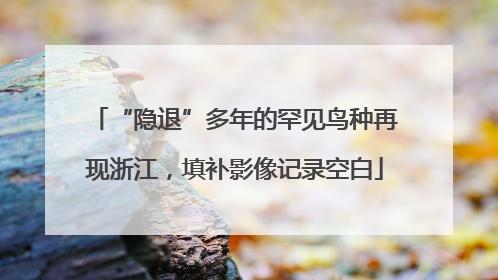 “隐退”多年的罕见鸟种再现浙江，填补影像记录空白