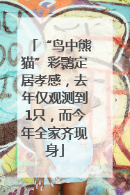 “鸟中熊猫”彩鹮定居孝感，去年仅观测到1只，而今年全家齐现身