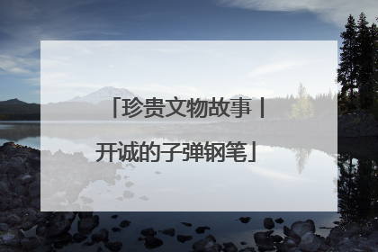 珍贵文物故事丨开诚的子弹钢笔