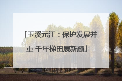玉溪元江：保护发展并重 千年梯田展新颜