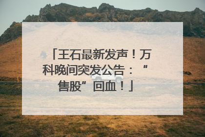 王石最新发声！万科晚间突发公告：“售股”回血！
