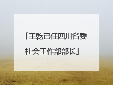 王乾已任四川省委社会工作部部长