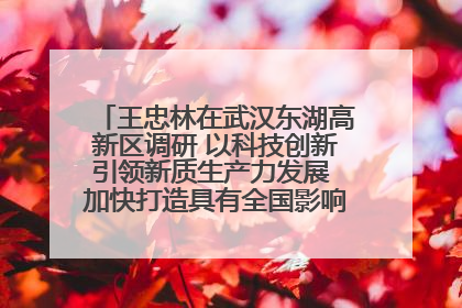 王忠林在武汉东湖高新区调研 以科技创新引领新质生产力发展 加快打造具有全国影响力的科技创新高地