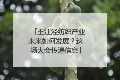 王江泾纺织产业未来如何发展？这场大会传递信息