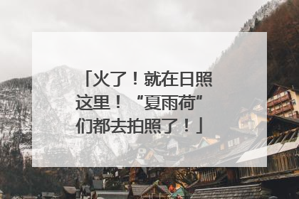 火了！就在日照这里！“夏雨荷”们都去拍照了！