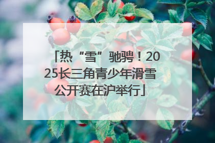 热“雪”驰骋！2025长三角青少年滑雪公开赛在沪举行
